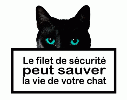 La_vie_secrète_des_chats_-_logo